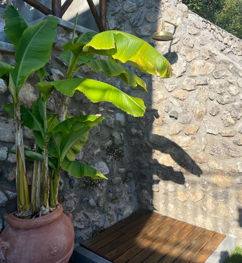Villa De Rosa Позитано Екстериор снимка